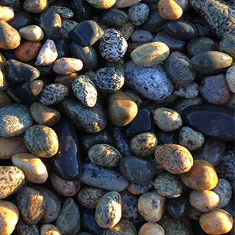 Pebbles Services